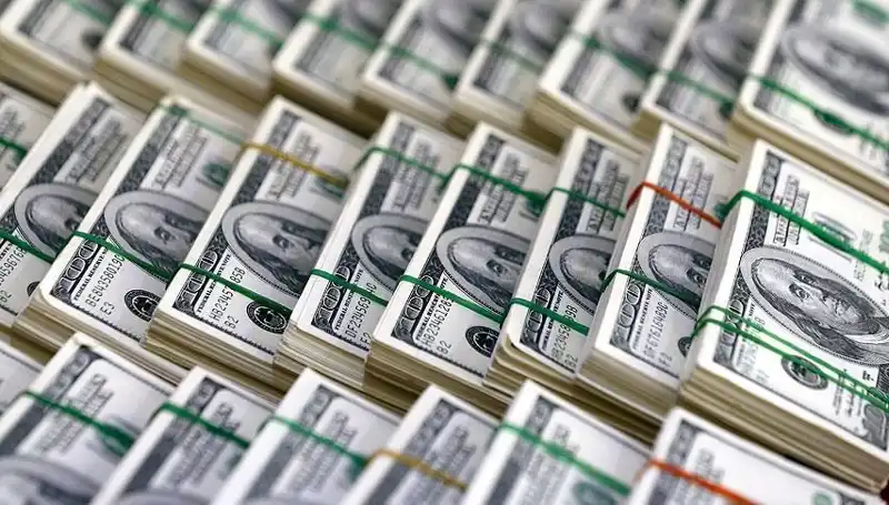 Doların Hızla Yükselişi: Ekonomik Tehlikeler ve Alınacak Önlemler