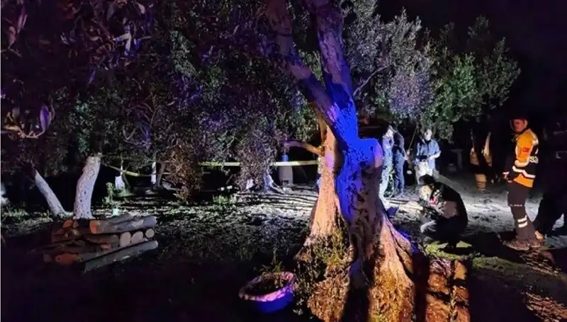 Çiftlikte Yaşanan Baltalı Vahşet: Şok Edici Tutuklama Gerçekleşti