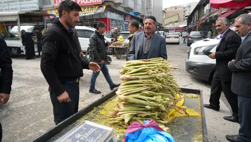 Dağlık Alandan Toplanıp Pazara Gelen Şekerin Şifa Gücü Neler Sunuyor?