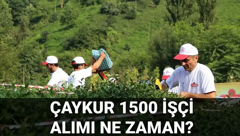 Çaykur İşçi Alımı İçin Başvuru Tarihleri ve Son Durum Açıklandı!