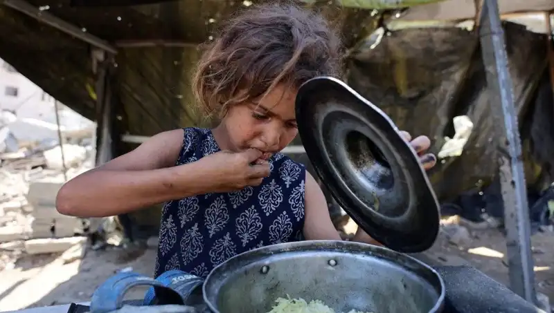 Gazze'nin Kıtlık Krizi: Savunmasız Halkın Acı Gerçekleri