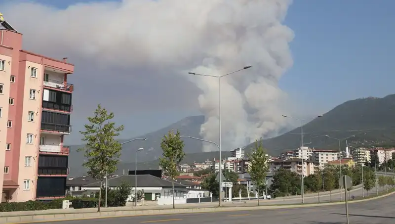 Denizli'de Orman Yangını: Şüpheli Gözaltına Alındı, Yangın Kontrol Altına Alındı