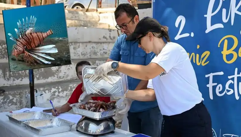 Antalya'da İstilacı Aslan Balığı Avlama Yarışması Düzenleniyor!
