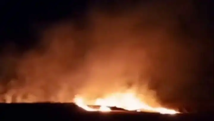 Tekirdağ'da 20 Dekar Buğday Alanı Kül Oldu: Çiftçiler Ne Yapacak?