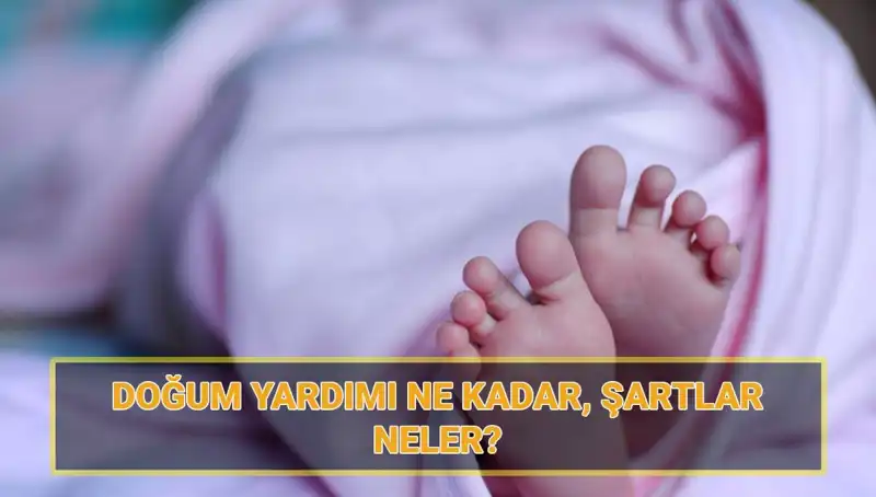 2025 Yılı İçin Doğum Yardımı Başvuruları Başladı: Detaylar Burada!
