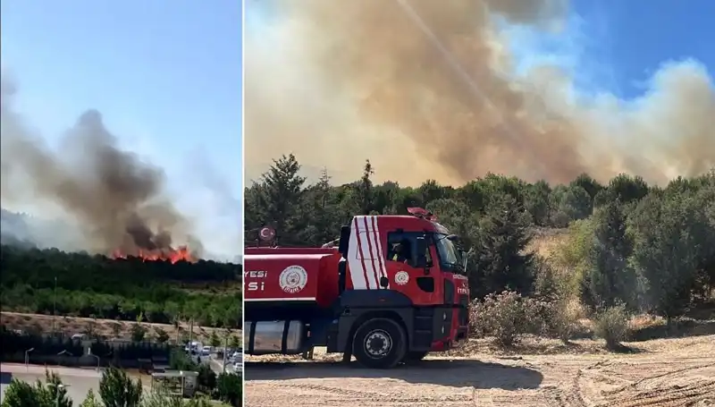 Gebze’de Orman Yangını: Yangının Sebepleri ve Sonrası Yaşananlar