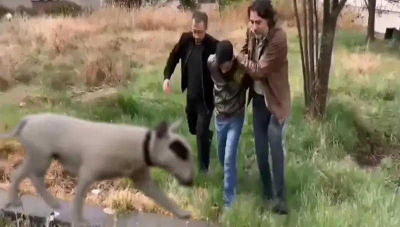 Şampiyon Köpeği Çalan Hırsız, 430 Bin Lira Değerindeki Soygunla Yakalandı