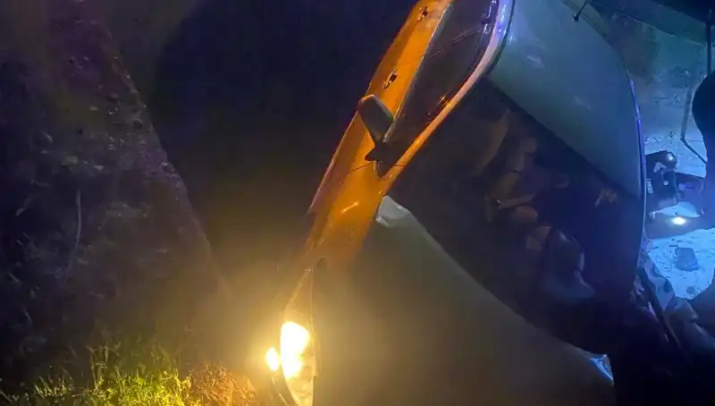 Adana'da Şarampole Devrilen Otomobilde Yaşanan Kaza: İki Yaralı
